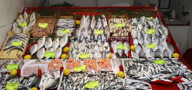 Müsilaj (deniz salyası) balıkları ve midyeleri zehirler mi? Uzmandan isimden rahatlatan açıklama: Temizler