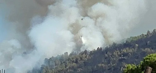 Aydın’da orman yangını: 3 helikopter söndürme çalışmalarına katılıyor