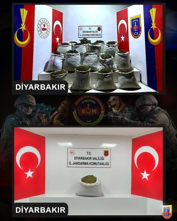 diyarbakirda-narko-teror-operasyonu-2-milyon-425-bin-500-kok-kenevir-ele-gecirildi-1692442654058.jpg