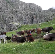 İç ısıtan görüntü