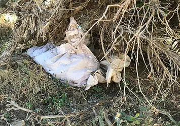 Teröristlerin ağaçlar arasına gizlediği çuvallarda silah ve mühimmat bulundu
