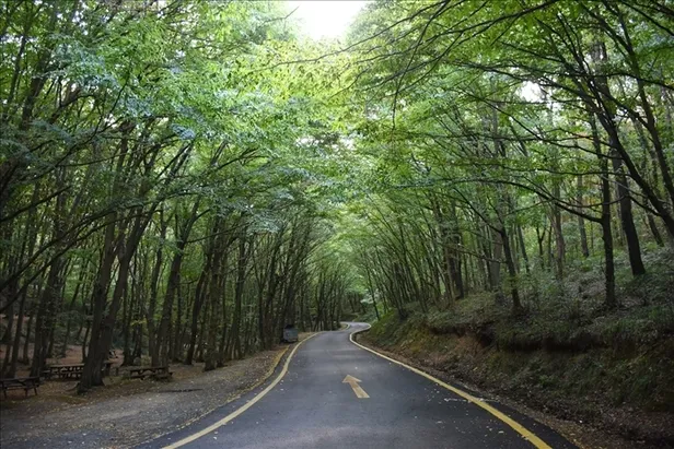 Orman yasakları kalktı mı? 2-3 Ekim İstanbul ve Ankara’da mangal yapmak yasak mı? Piknik alanlarında...