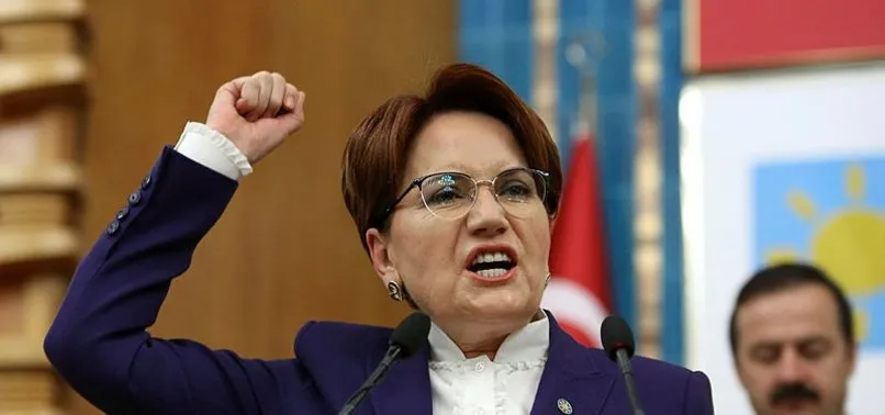 İYİ Parti'den bir istifa daha!