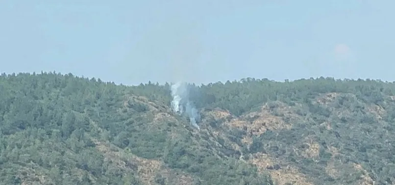 Marmaris'teki orman yangını söndürüldü