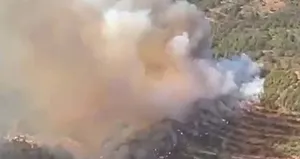 Balıkesir’de korkutan orman yangını!