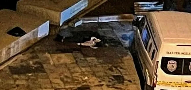 Marmara Denizi’nde dehşete düşüren görüntü! Üniversite öğrencisinin cesedi bulundu