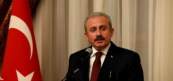 TBMM Başkanı Mustafa Şentop Türkiye’nin pandemi sonrasında söz sahibi ülkelerden olacağını söyledi