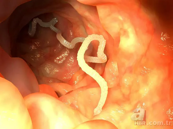 Yüzlerce insanı öldüren katil! Hava karardığında... 23