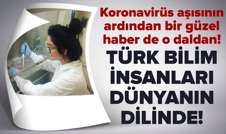 Koronavirüs aşısının ardından bir güzel haber de o daldan geldi