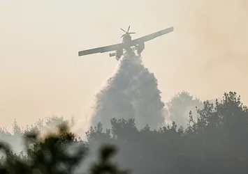 Çanakkale, İzmir, Uşak'ta orman yangını! Köyler ve evler tahliye edildi | Kontrol altına alındı