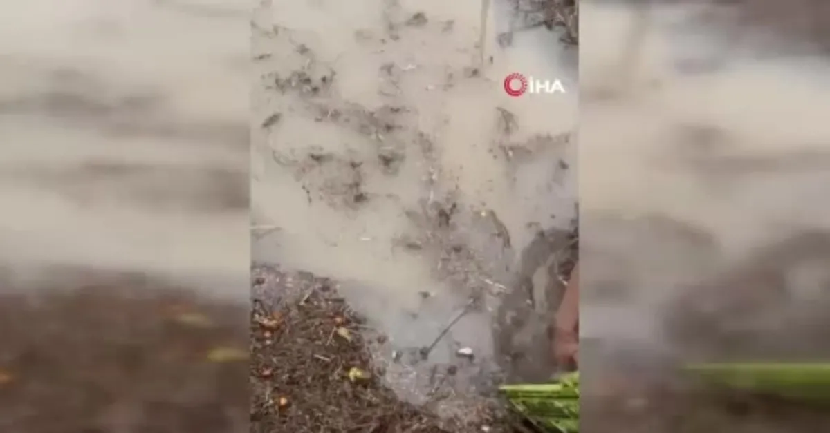 Sağanak, üreticiyi vurdu