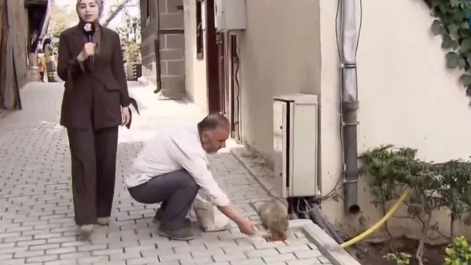 İşte kedilerin ’’Müslüm Babası’’