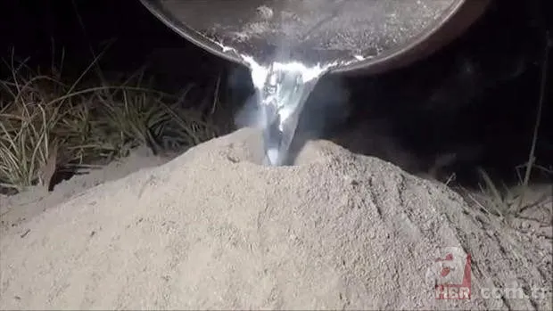 Kırmızı karıncalardan batmayan sal! Haftalarca yüzebiliyorlar 8