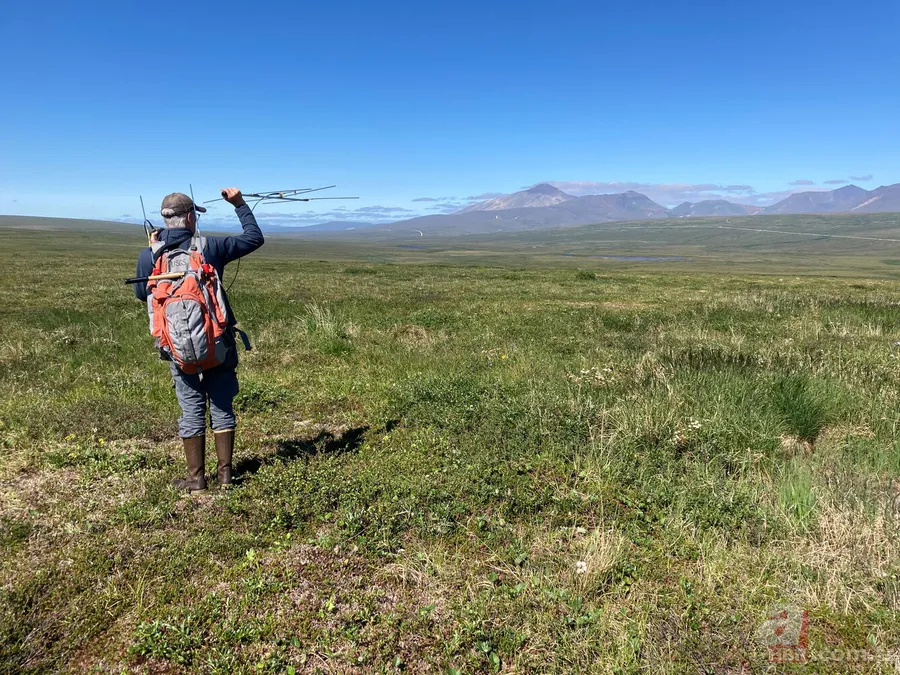 Mola vermeden 13 bin kilometre uçtu! İşte dünyanın en dayanıklı kuşu 5