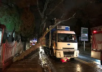Üsküdar'da kamyon ağaca çarptı
