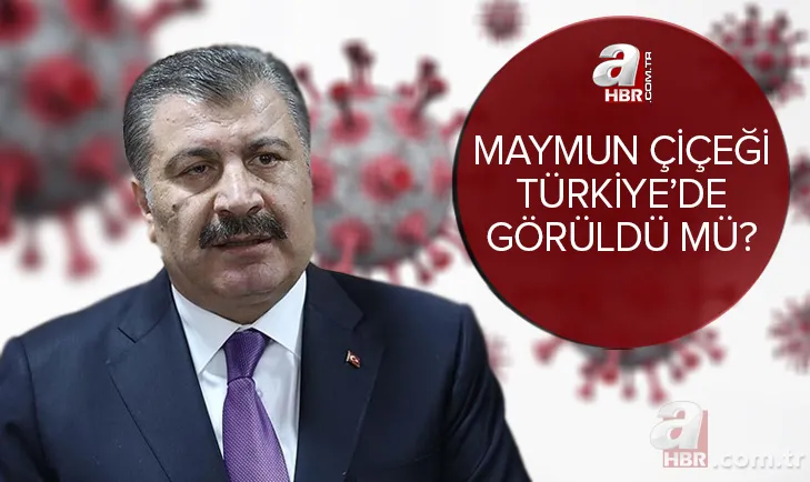 Maymun çiçeği Türkiye'de görüldü mü? Bakan Fahrettin Koca duyurdu! Maymun çiçeği virüsü belirtileri neler, nasıl bulaşır? 1