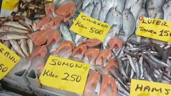 İşte bayram öncesi balık fiyatları