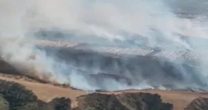 Turgutlu’da makilik alanda yangın: 2 ev zarar gördü