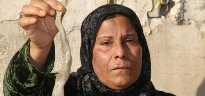 KANSERDEN KURTULMAK İÇİN ZEHİRLİ YILAN YİYOR!