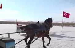 Çıldır Gölü’nün bir bölümü dondu