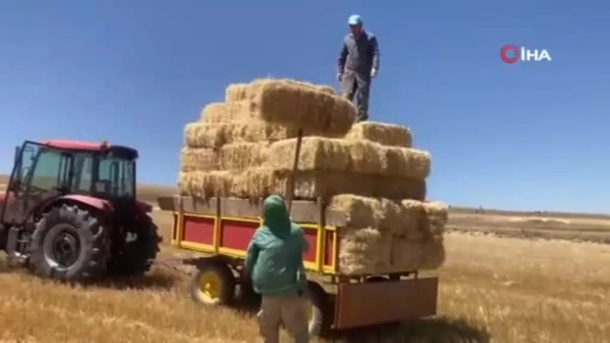 Kavuran sıcakta dondurucu kışa hazırlık