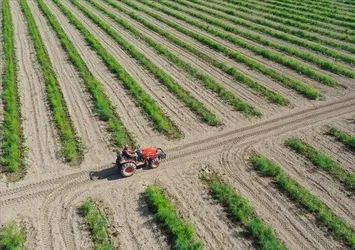 Tarımda il il yeni planlama! Gıdaya erişimi kolaylaştıracak adım