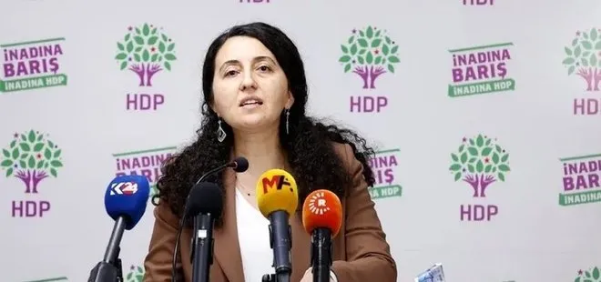 HDP’den İYİ Partili Meral Akşener’e sert tepki! Onunla çay bile içmeyiz