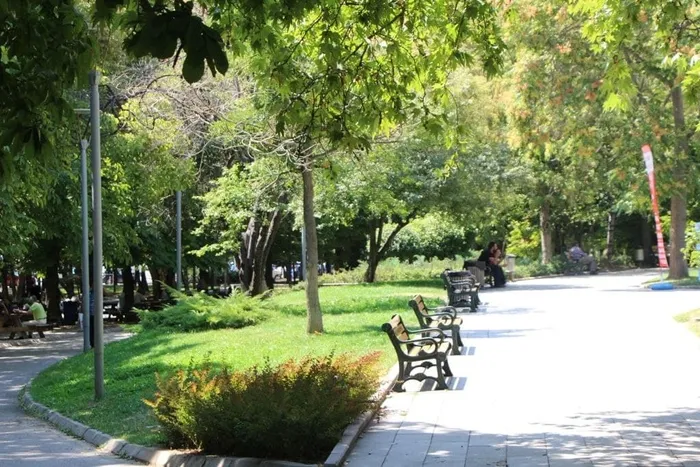 Son dakika: Çankaya'da park isyanı! Sosyal medyada kıyamet koptu: Vatandaşlardan Mansur Yavaş'a sert tepki - 3