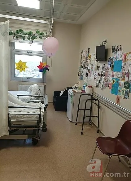 Hollanda ölüme terk ediyordu Türkiye yaşattı! Dilara Şahin'den sevindiren haber 2