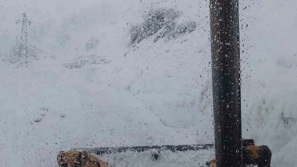 Artvin'de kar nedeniyle Camili bölgesi ve 6 köy yolu ulaşıma kapandı