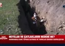 İzmirde korkutan olay! Deprem habercisi mi?