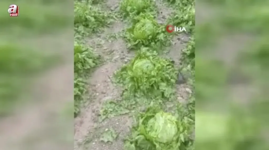 Ankara’da dolu tarlaları vurdu!