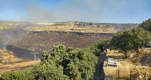 Korkutan yangın: Tarlada başladı bahçeye sıçradı