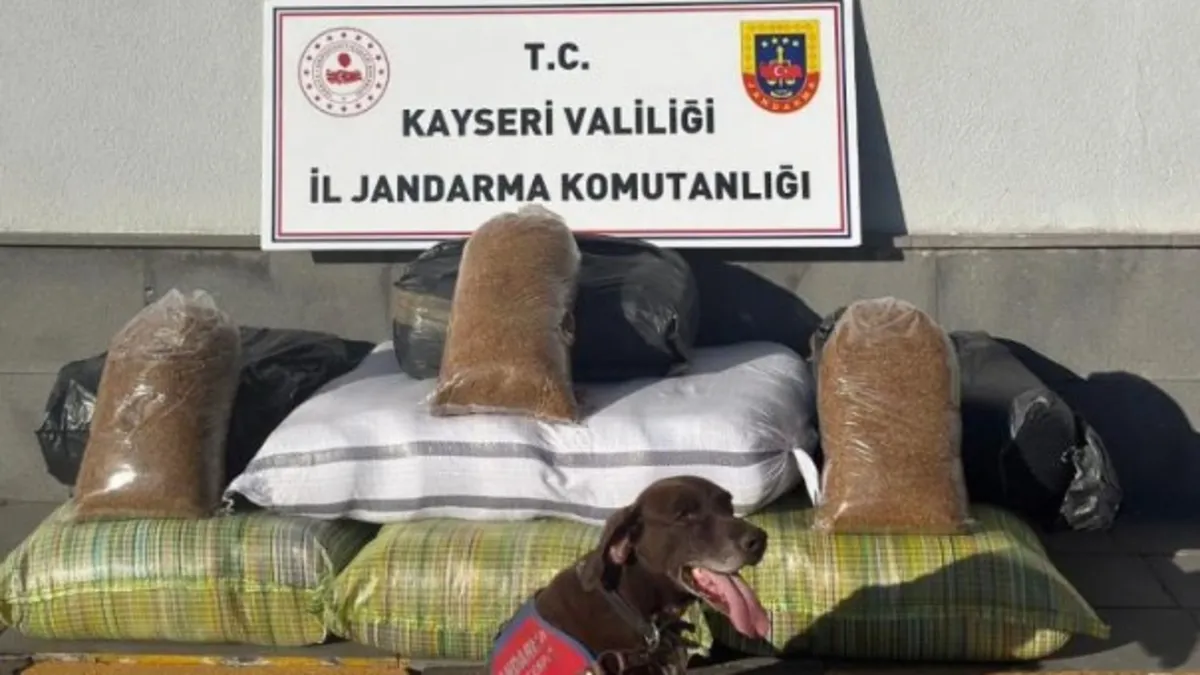 Kayseri'de durdurulan otobüsten çıkanlar şoke etti: 230 kg kaçak tütün ele geçirildi