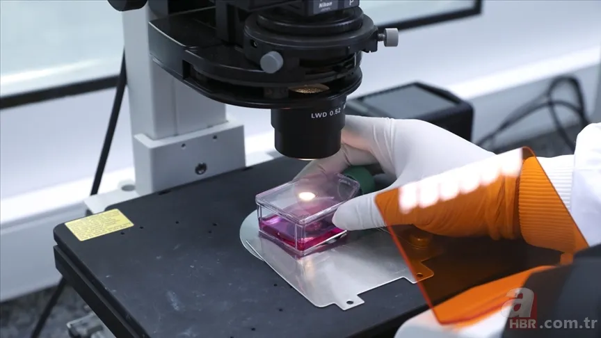 SMA hastalığı nedir, neden olur? Tedavisi var mı, belirtileri neler? SMA hangi yaşlarda kimlerde görülür? 2