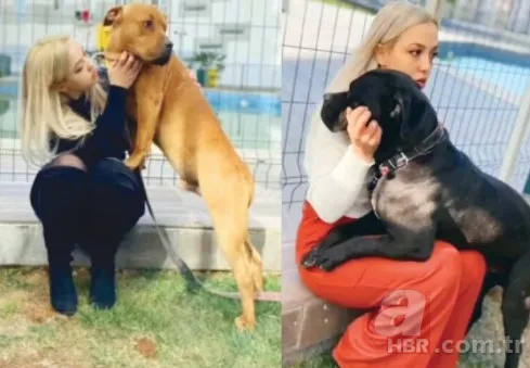 Pitbull saldırısına uğrayan Asiye Ateş olayında fotoğraf detayı! Bu kare gerçekleri gözler önüne serdi 2