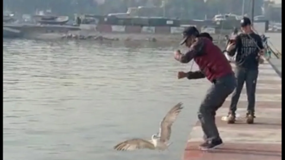 Oltasına takıldı! Neye uğradığını şaşırdı