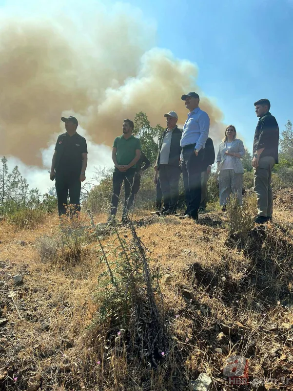 Marmaris'te orman yangını! Havadan ve karadan müdahale sürüyor | Bölgeye yakın yerleşim alanındaki evler tahliye edildi | A Haber bölgede 15