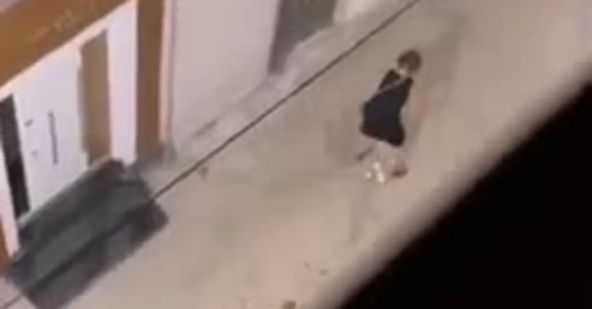 Kocaeli'de sokak ortasına tuvaletini yapan kadın kamerada!