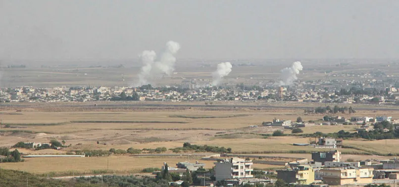 Türkmenler Barış Pınarı Harekatı'na destek verdi