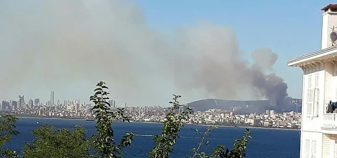 Son dakika: Maltepe’deki orman yangını kontrol altına alındı