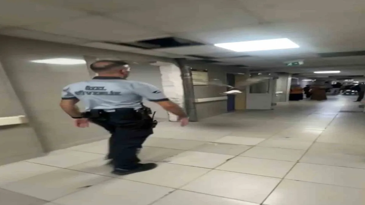 Bursa'da bir martı acile uçarak girdi! İşte o anlar