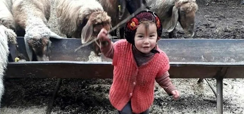 muslume nasil oldu 2 5 yasindaki muslume ye ne oldu muslume katili kim olum sebebi nedir