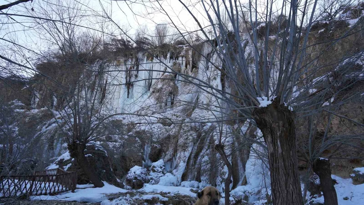 Girlevik Şelalesi'nde 2 metrelik buz sarkıtları oluştu