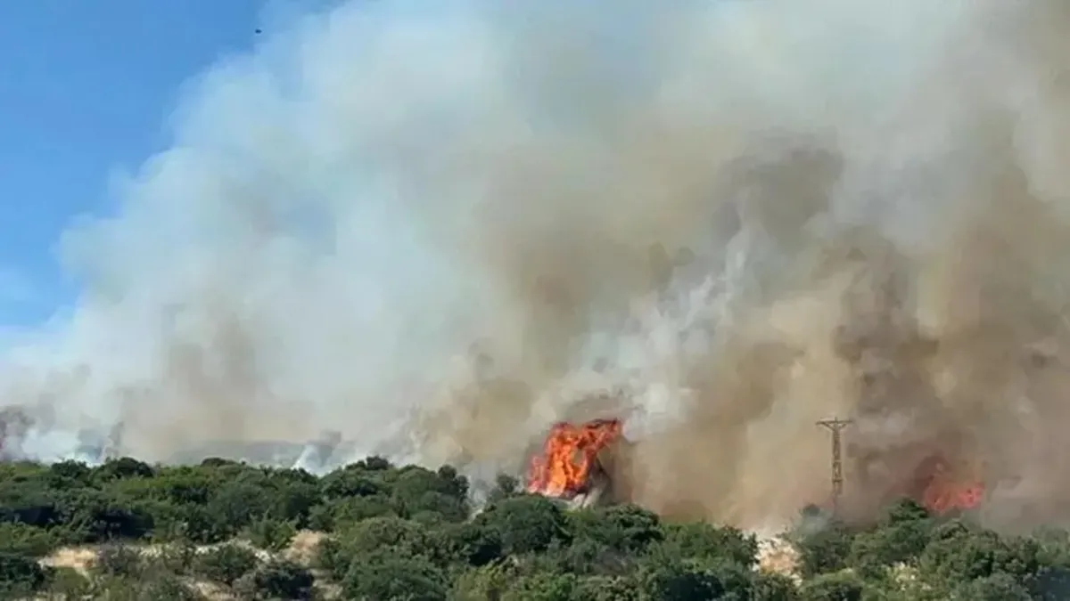 Çanakkale'de korkutan orman yangını! Alevler kontrol altında