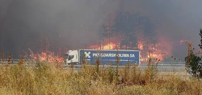 Son dakika: Bulgaristan-Türkiye sınırındaki yangın söndürüldü