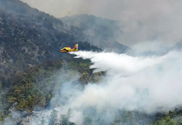 Son dakika: Muğla’da orman yangını çıkardığı iddia edilen şahıs tutuklandı
