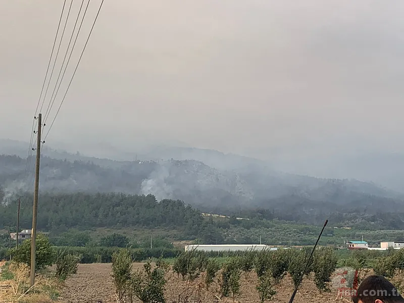 Sakarya’da ciğerlerimiz yanıyor! Hasarın boyutu gün ağarınca ortaya çıktı 4