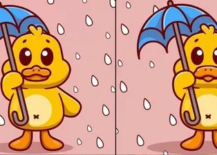 Şemsiyeli ördek resimleri arasındaki 3 farkı 15 saniyede bulun!