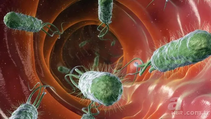 Koronavirüsten sonra dünyayı bekleyen tehlike! Bilim insanlarının araştırması korkuttu: Et yiyen mikroplar 7